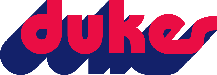 Duquesne Dukes 1975-1990 Wordmark Logo diy iron on heat transfer